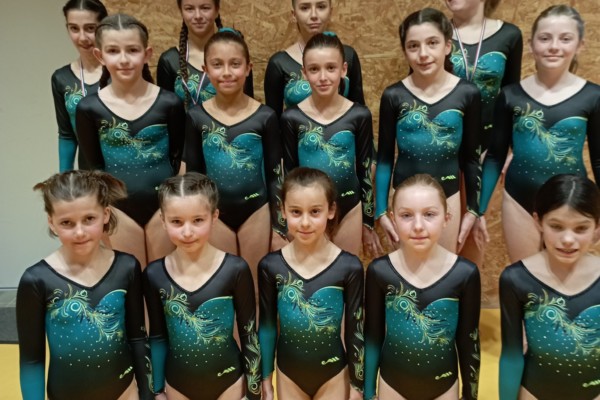 Beaux résultats pour la gymnastique albigeoise du Salto à Briatexte